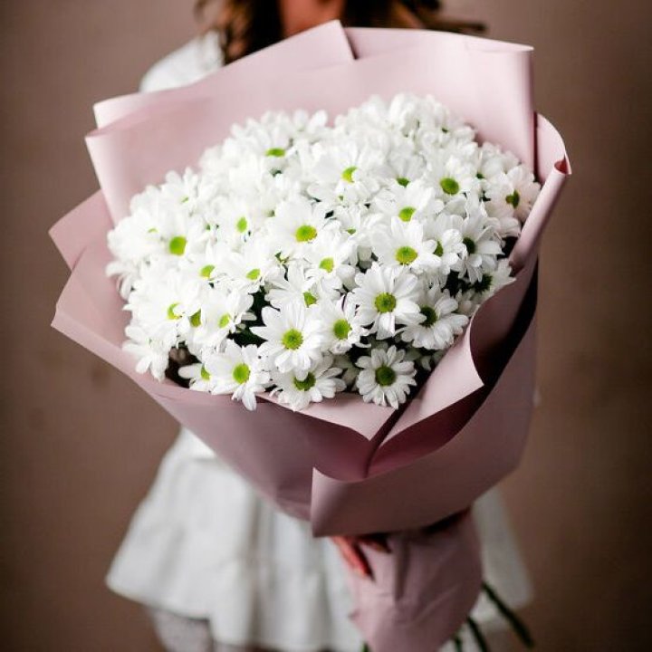 Букет хризантем №2 в Новом Уренгое