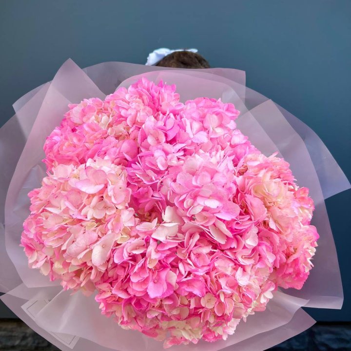 9 ярко розовых гортензий в Новом Уренгое