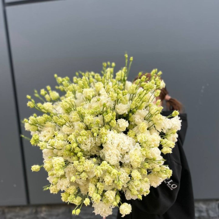 51 белая эустома в Новом Уренгое