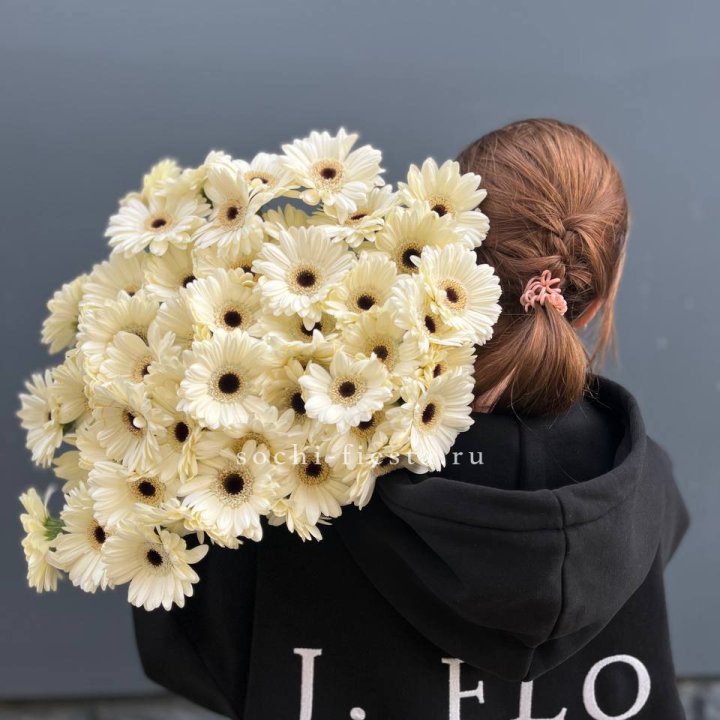 51 гербера в Новом Уренгое