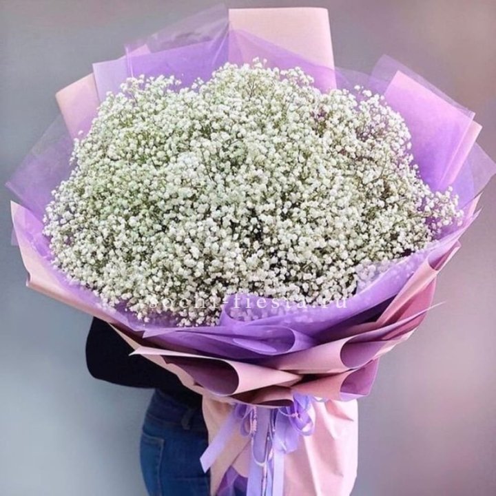 Облако белых гипсофил в Новом Уренгое