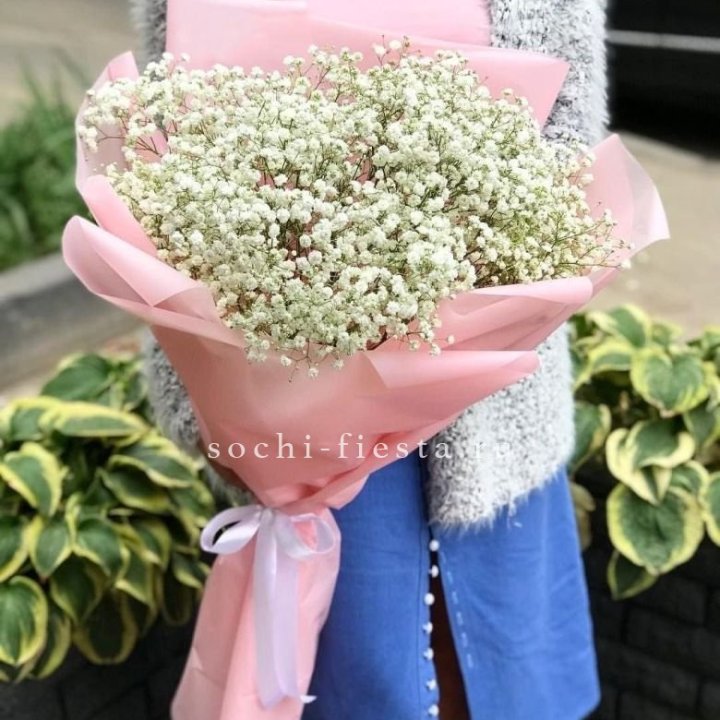 Белоснежные гипсофилы в Новом Уренгое