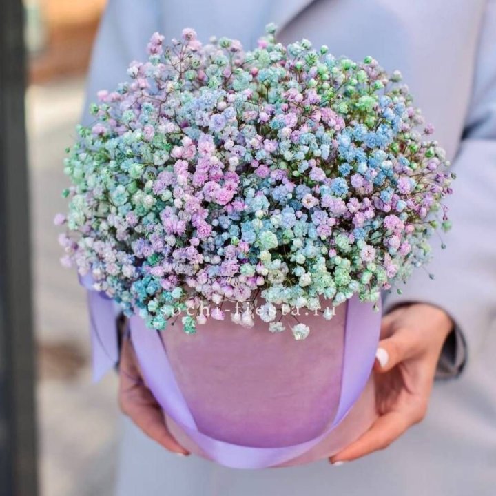 Гипсофилы в шляпной коробке "Кандилайт" в Новом Уренгое