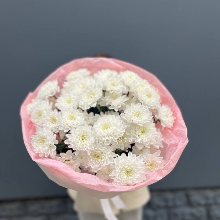  5 хризантем  с доставкой в Новом Уренгое