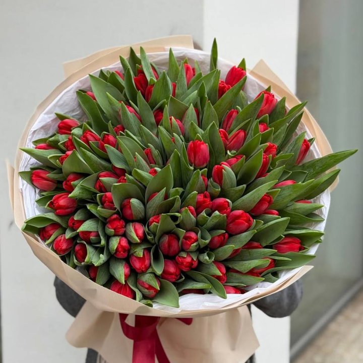 101 красный тюльпан в Новом Уренгое