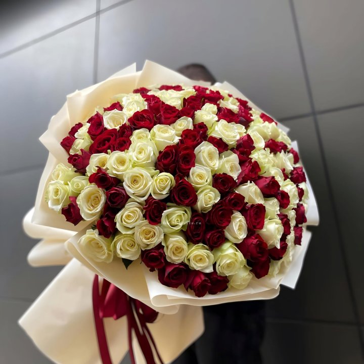 101 высокая импортная роза  в Новом Уренгое