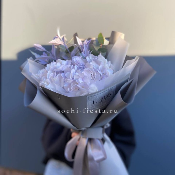 Гортензия "Виолета" в Новом Уренгое