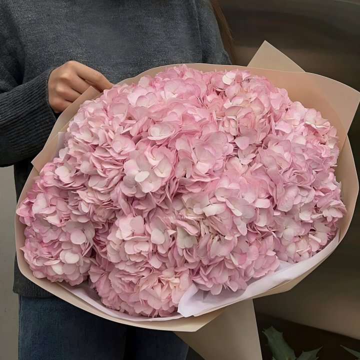 Гортензия  "РОЗЕ" в Новом Уренгое