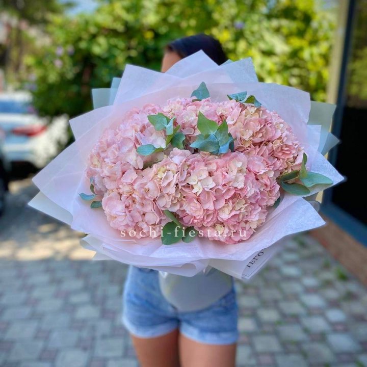 5 розовых гортензий  в Новом Уренгое