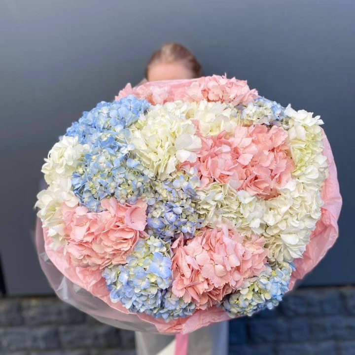 19 гортензий микс в Новом Уренгое