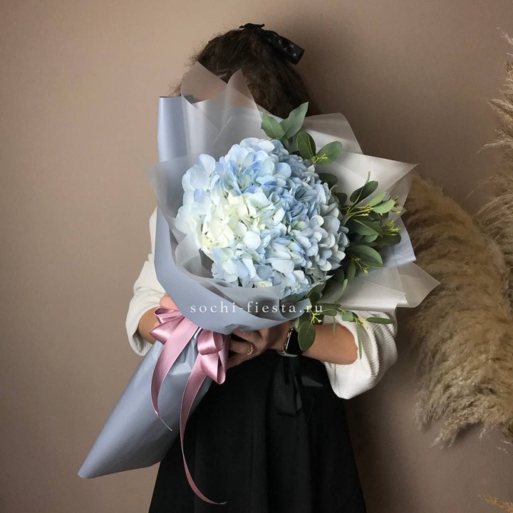 Гортензия Уно в Новом Уренгое