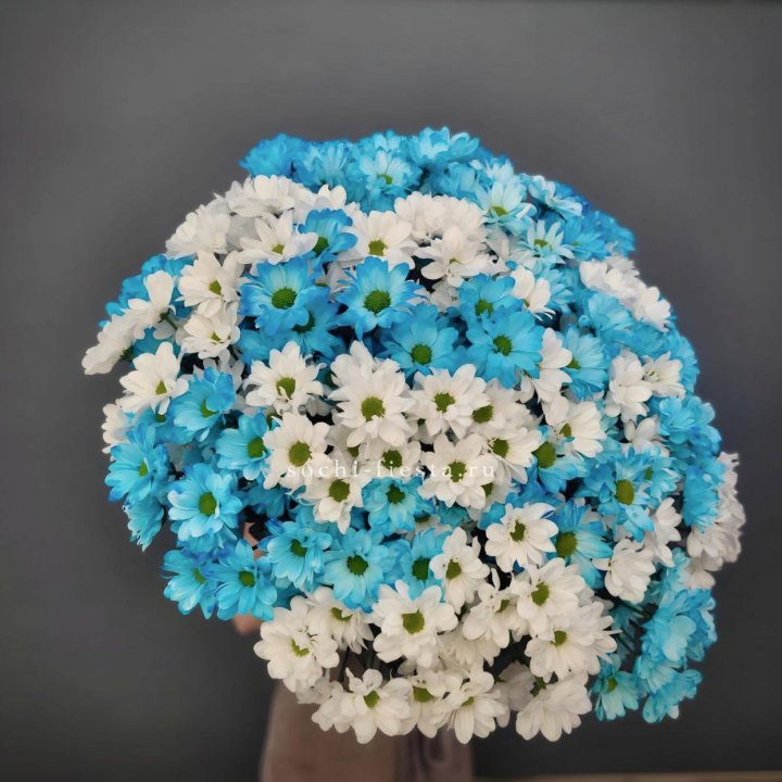  Букет хризантем микс в Новом Уренгое