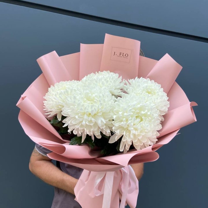 Профитроли №2 в Новом Уренгое