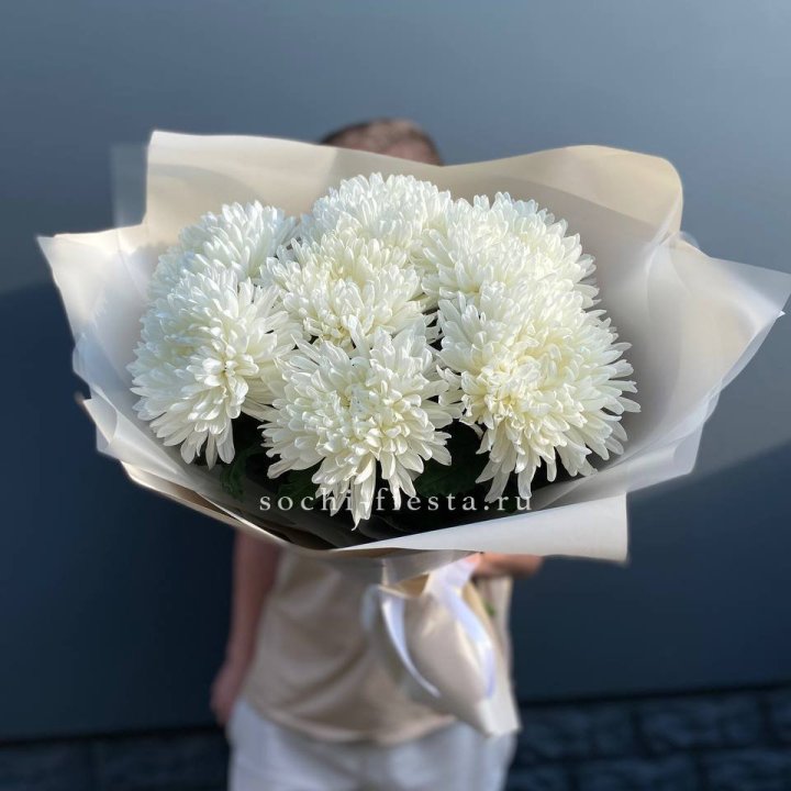 Профитроли в Новом Уренгое