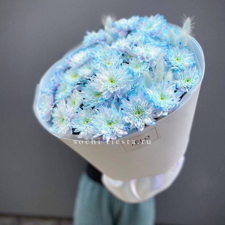  Букет нежно-голубых хризантем  в Новом Уренгое