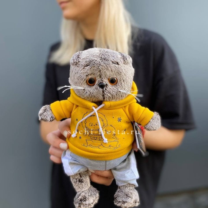 Кот Басик в худи в Новом Уренгое