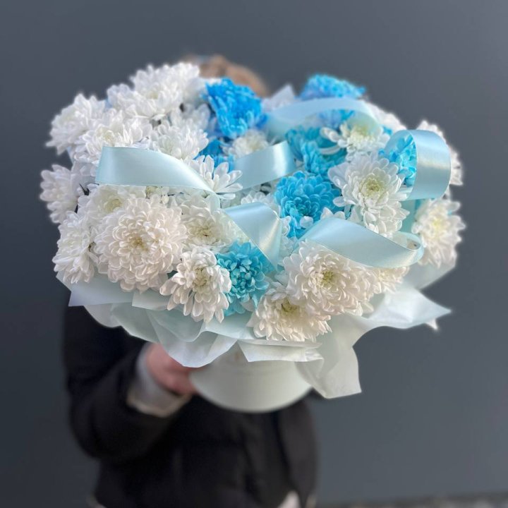 Хризнтемы в боксе в Новом Уренгое