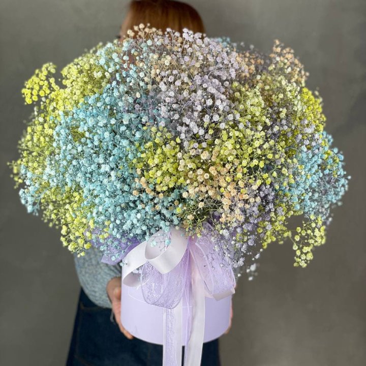 Бокс из гипсафил в Новом Уренгое