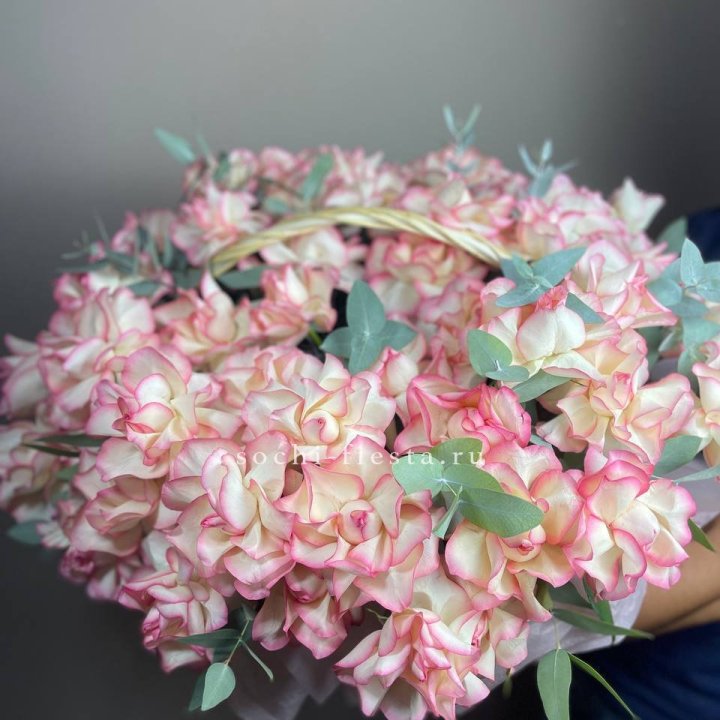 51 джумилия  в корзине   в Новом Уренгое