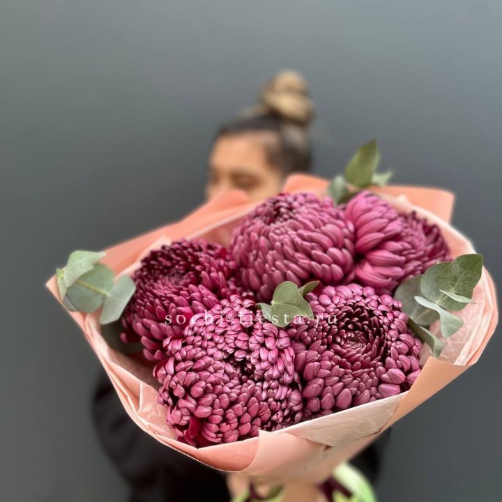 Хризантемы  Бигуди  в Новом Уренгое