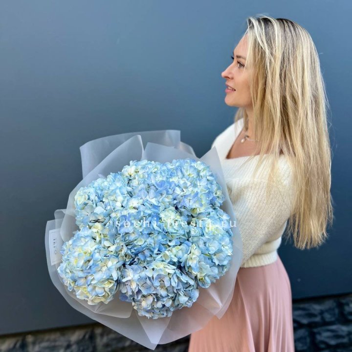 7 голубых гортензий в Новом Уренгое