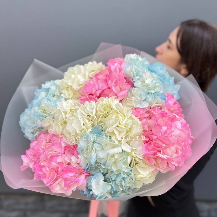 9 гортензий микс в Новом Уренгое