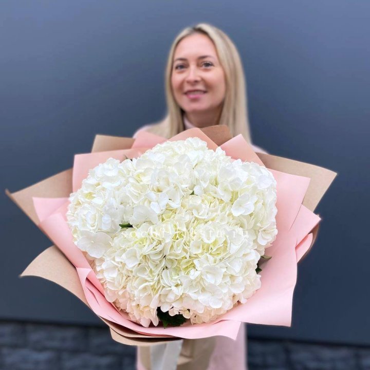 Гортензия белая в Новом Уренгое