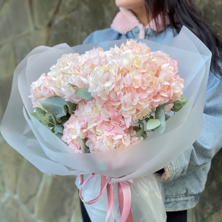 5 розовых гортензий в Новом Уренгое