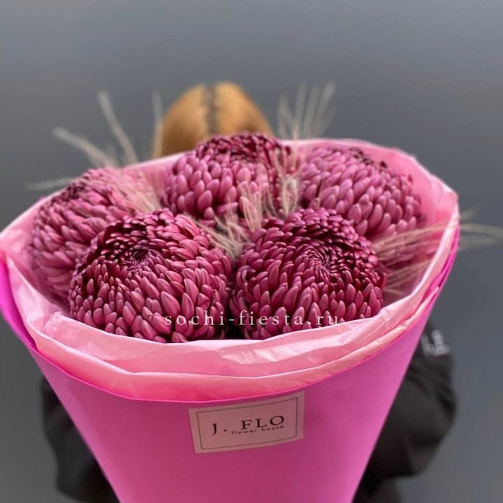 Хризантемы  Бигуди с стифой в Новом Уренгое