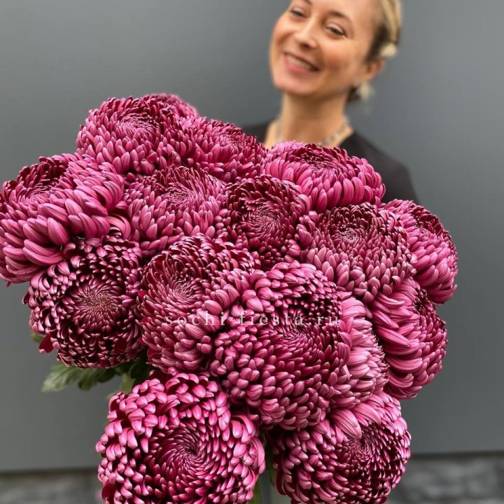 Охапка хризантем Бигуди в Новом Уренгое