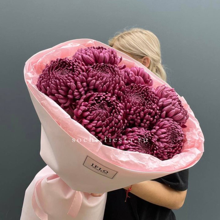 9 хризантем бигуди в Новом Уренгое