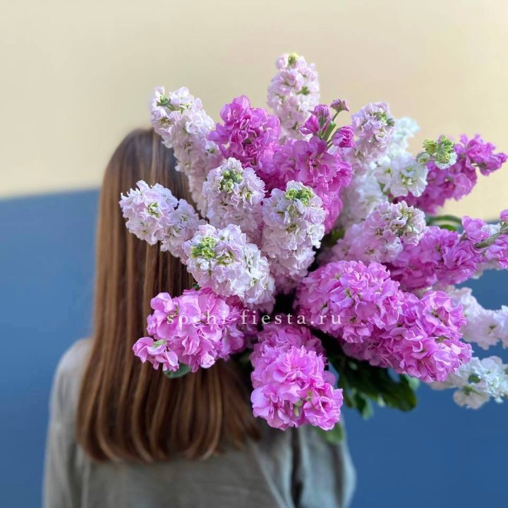 Охапка маттиолы в Новом Уренгое