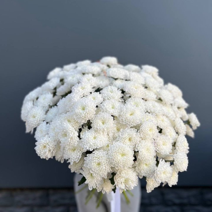  25 хризантем белых в Новом Уренгое