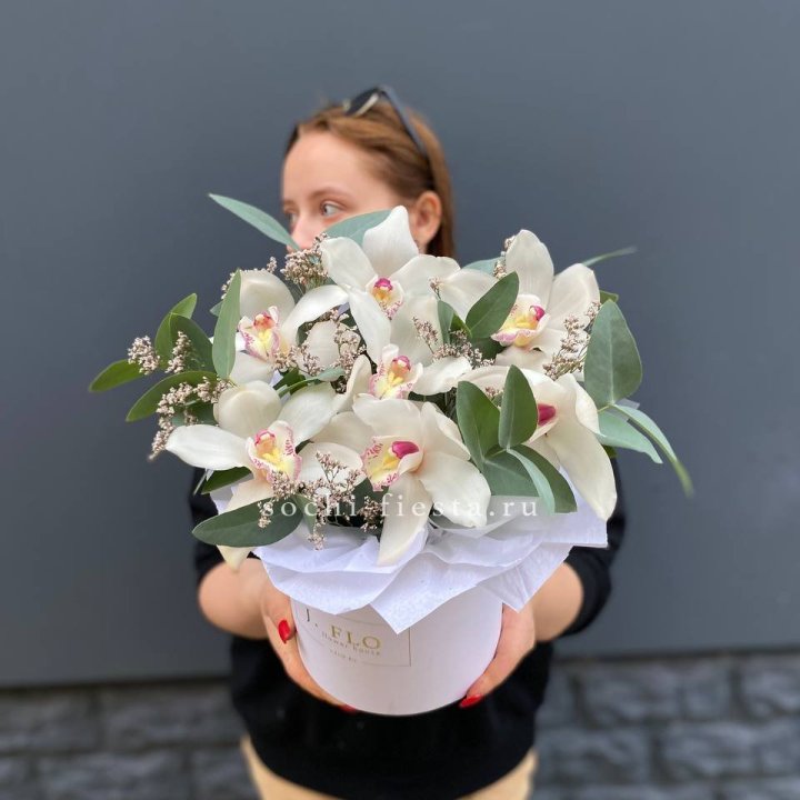 7 орхидей в боксе в Новом Уренгое