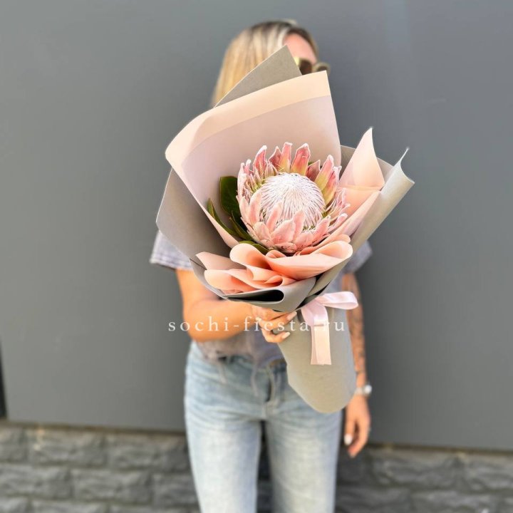 Протея мини  в Новом Уренгое