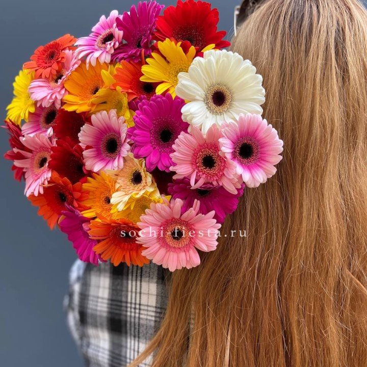 Охапка гербер  в Новом Уренгое