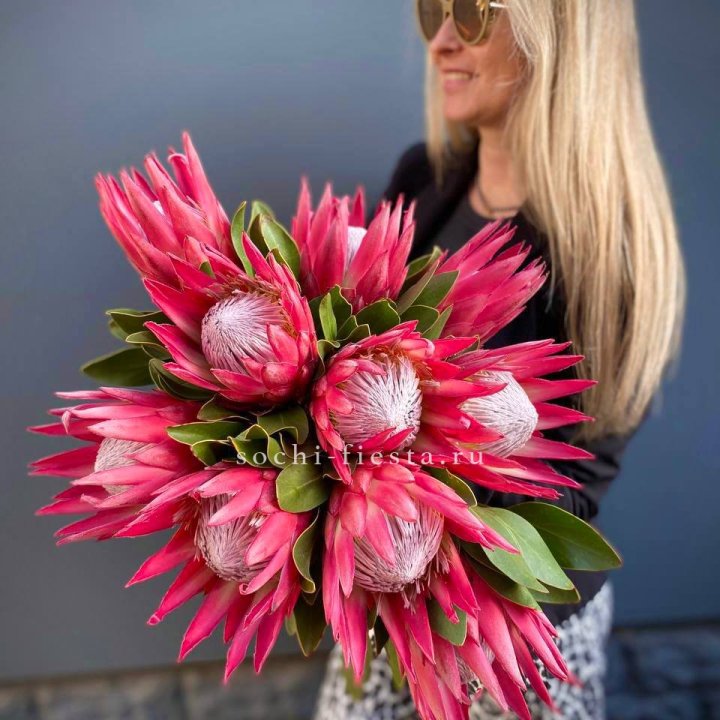 Протея штучно в Новом Уренгое