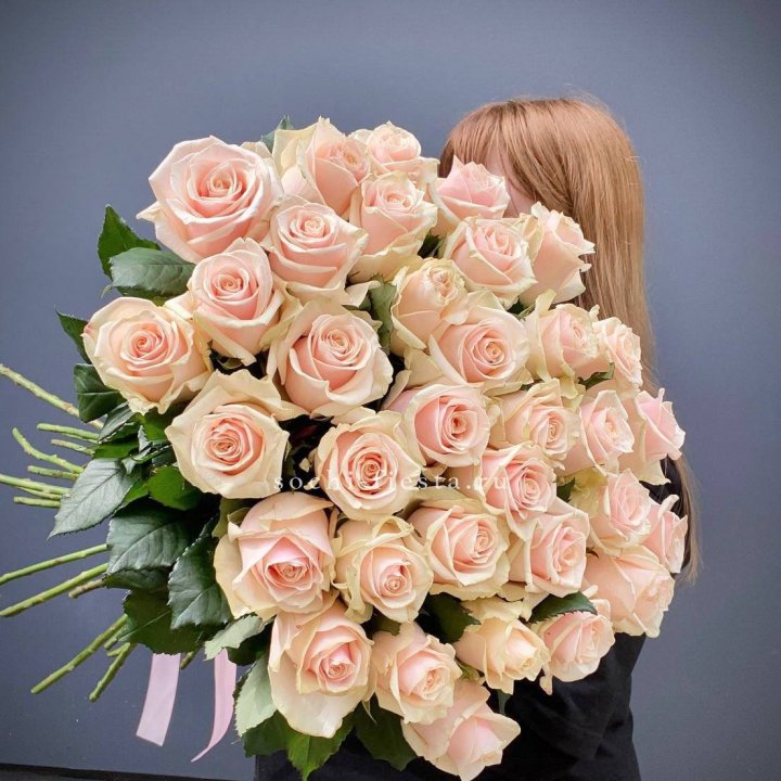 35 кремовых высоких роз в Новом Уренгое