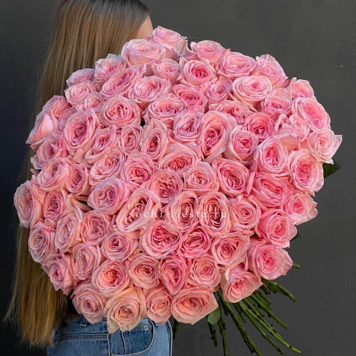 75 роз Охара в Новом Уренгое