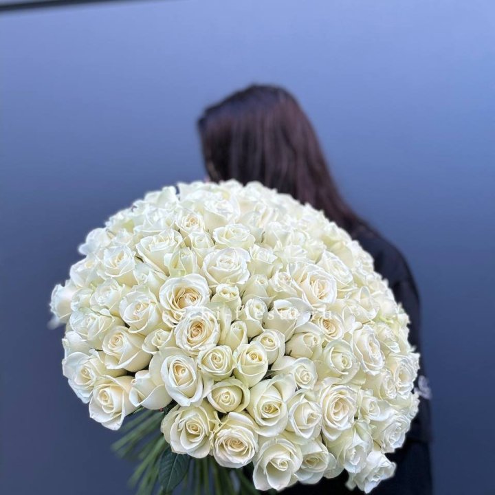 Охапка из 101 белой розы  в Новом Уренгое