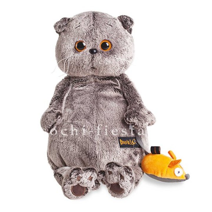 Кот Басик с мышкой в Новом Уренгое