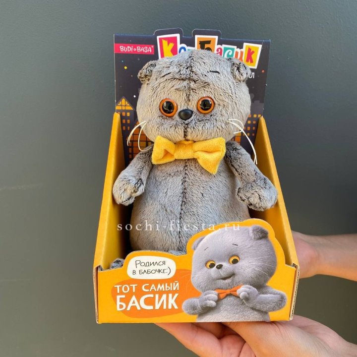 Кот Басик с бабочкой в Новом Уренгое